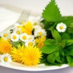 Jakie zioła sadzić obok siebie