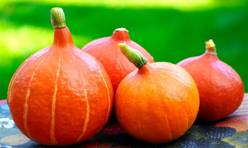 Mała, okrągła dynia Hokkaido o intensywnie pomarańczowej skórce i miąższu.