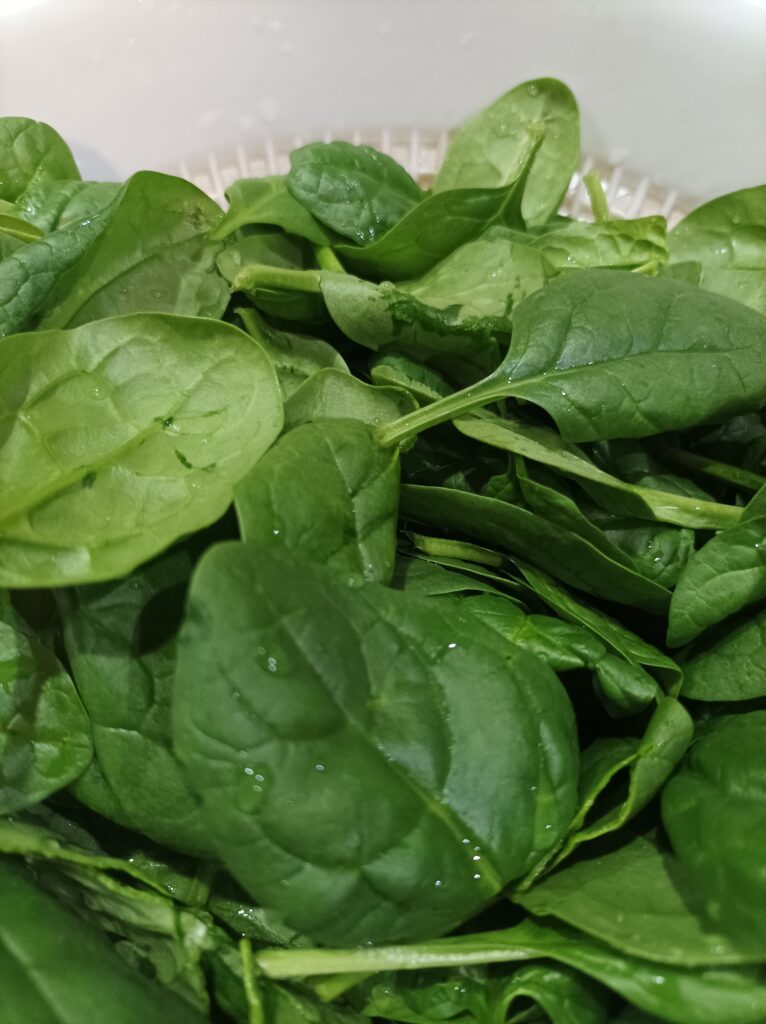 Świeży szpinak baby  zawsze myję przed użyciem