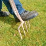 Aeracja trawnika wiosną i jesienią