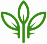 Zdrowe z ogródka blog ogrodniczy