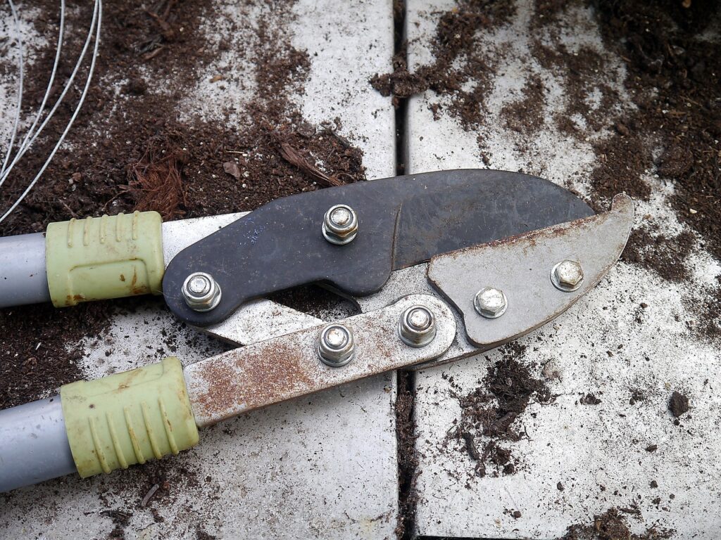 Co zrobić z korozją na sekatorze - jaki sekator ogrodowy