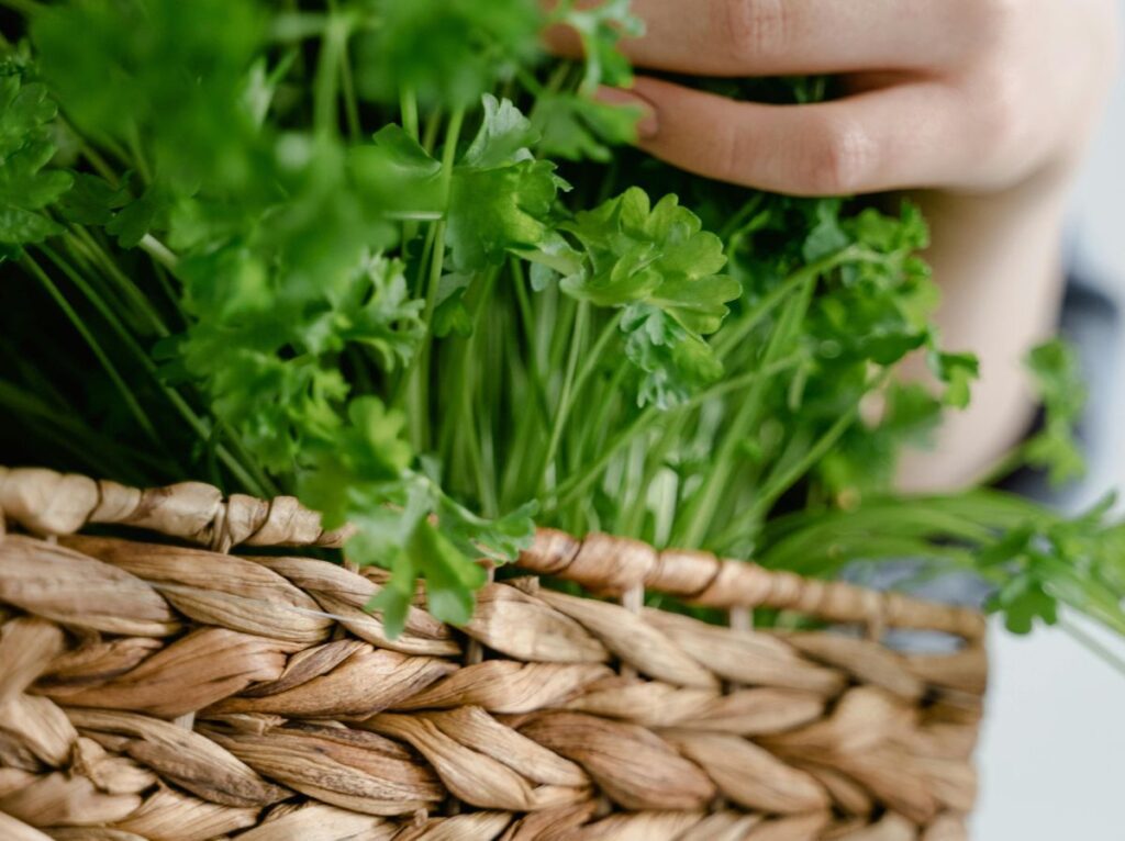 Doniczki na zioła na balkon