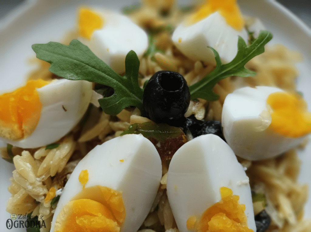 Prosta Sałatka z rukolą, makaronem orzo, oliwkami