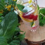 Domowa lemoniada z melisy