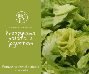 Sałata z jogurtem naturalnym przepis