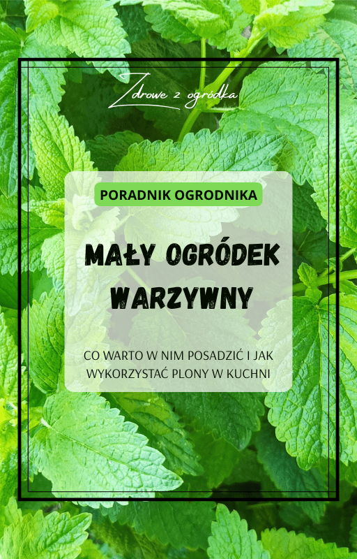 Zdrowe z ogródka (1)