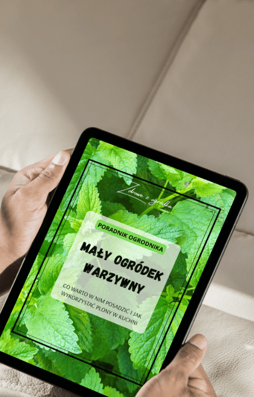 Zdrowe z ogródka ebook Mały ogródek warzywny - e-book