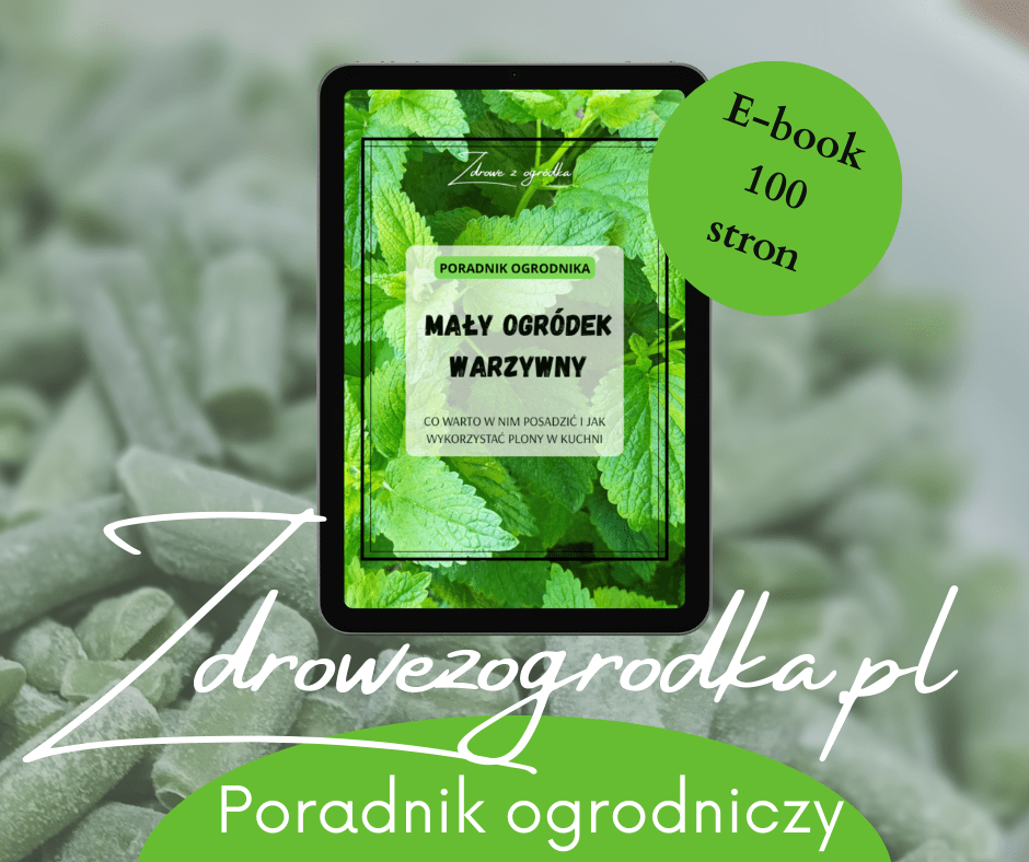 E-book ogród warzywny