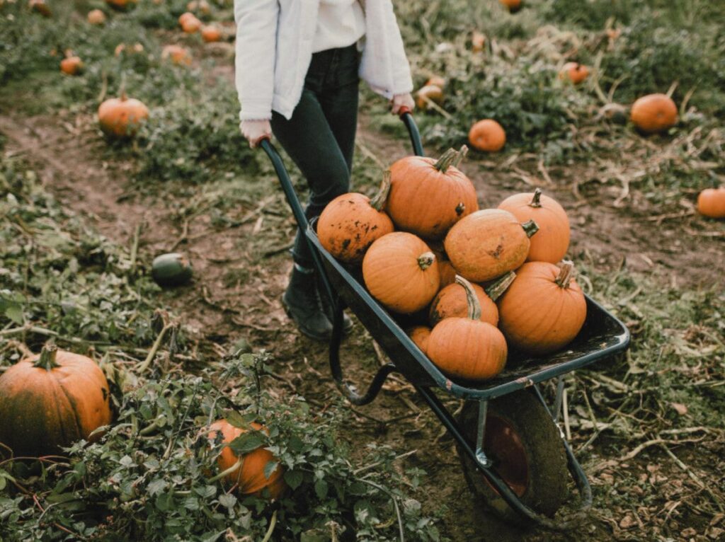 jak poprawić samopoczucie, 3
