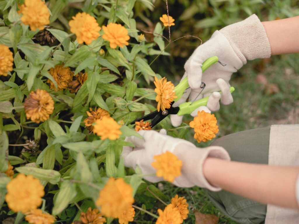 jak poprawić samopoczucie, 4