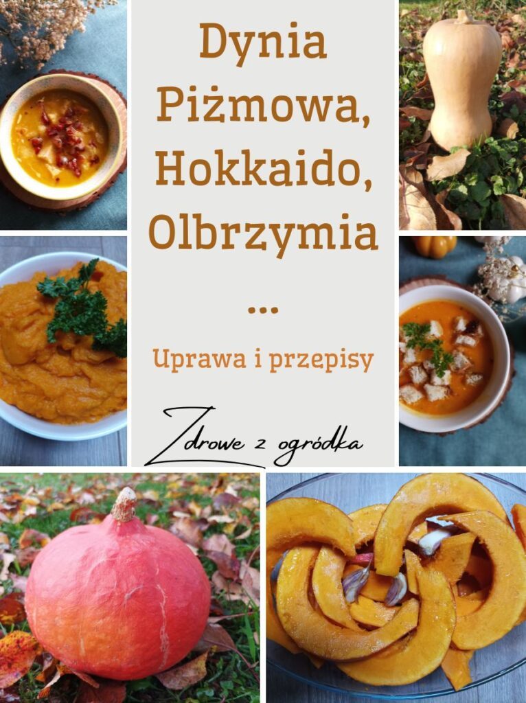 Dynia, Dynia piżmowa, dynia hokkaido, przepisy  z dynią, uprawa dyni