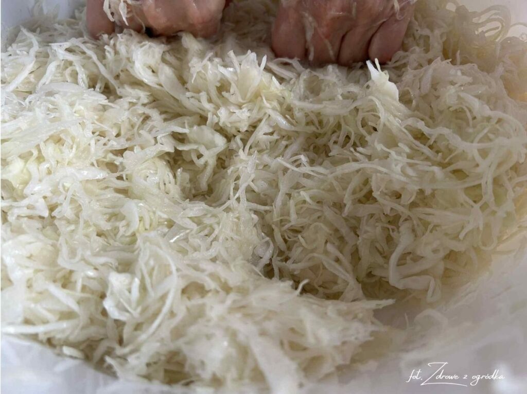 Jak kisić kapustę, jak kisić kapustę w słoikach, 1 jak kisić kapustę