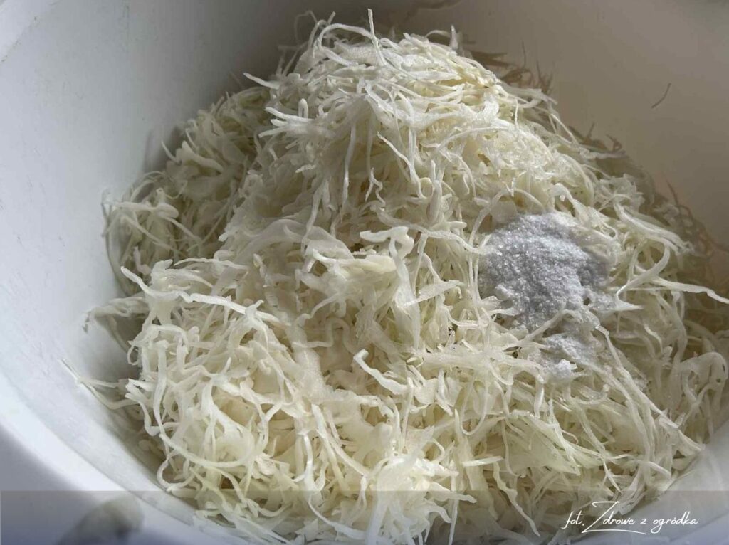 Jak kisić kapustę, jak kisić kapustę w słoikach jak kisić kapustę w słoikach