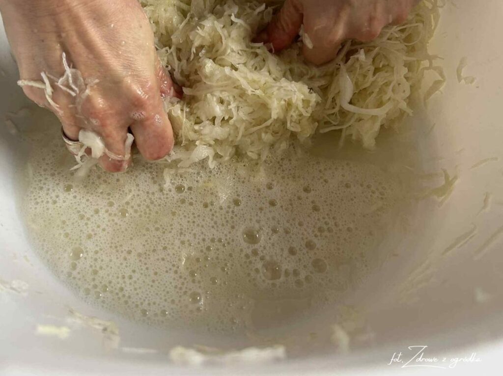 Jak kisić kapustę, jak kisić kapustę w słoikach, 2