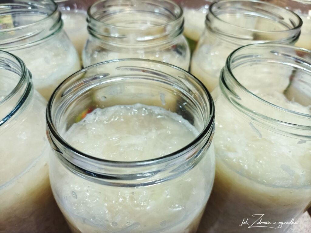 Jak kisić kapustę, kapusta kiszona w słoikach