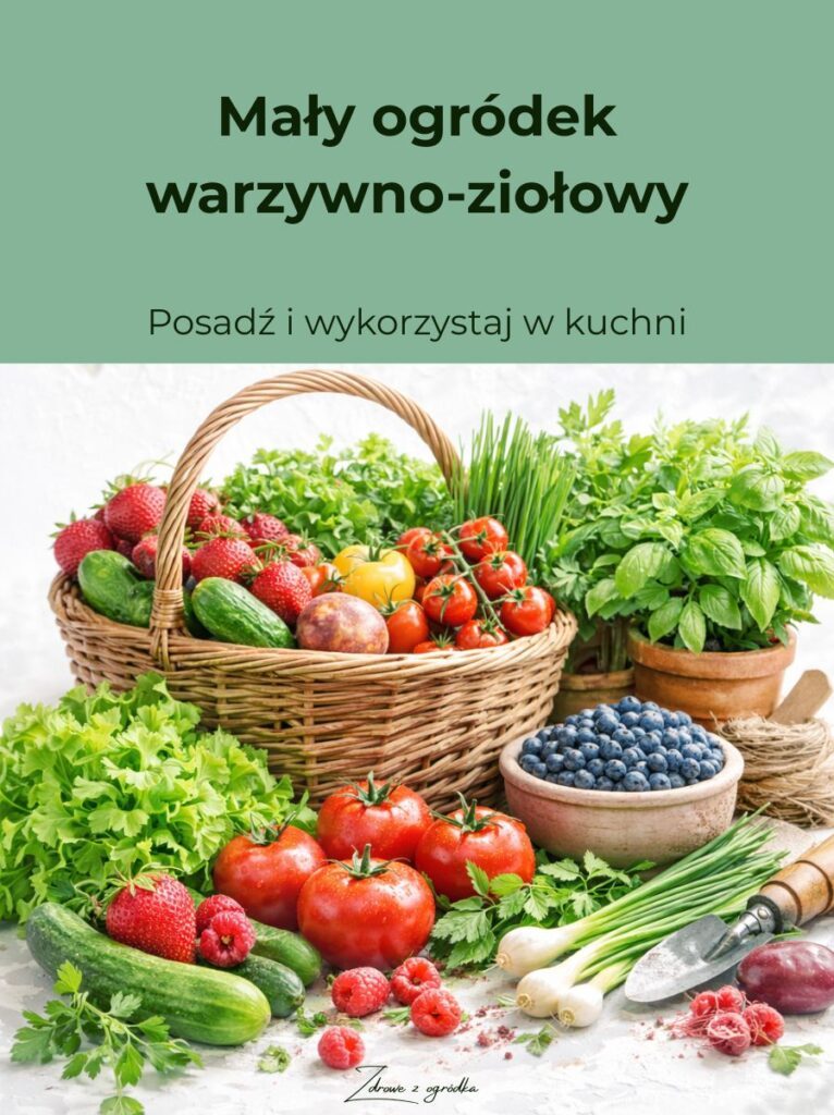 mały ogród, E-book