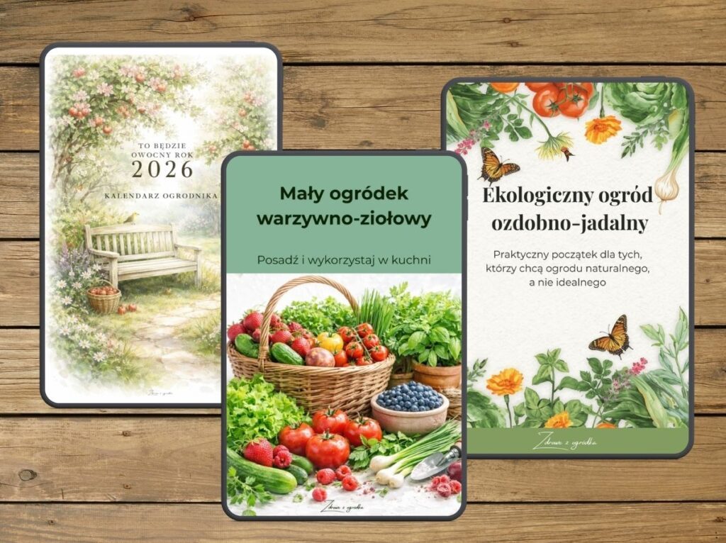 Wiosna w Twoim ogrodzie – Twój start w ogrodnictwie